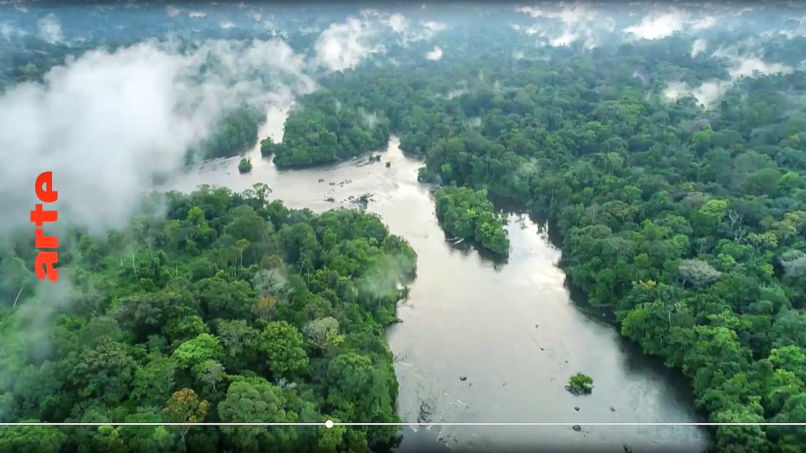 DELTAS OF THE WORLD: Amazon – Healing Tropics